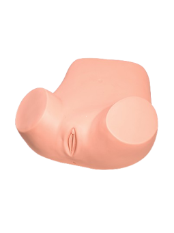 GYNECOLOGICAL EXAMINATION SIMULATOR 